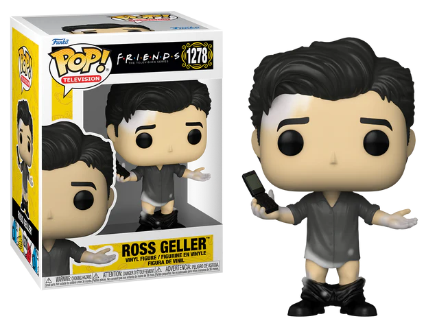 POP TV: Friends - Ross w/ Leather Pants