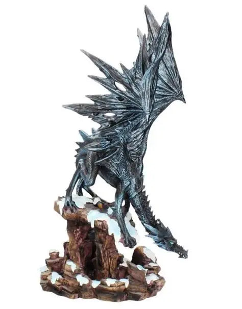 Dragons Wisdom. 47cm