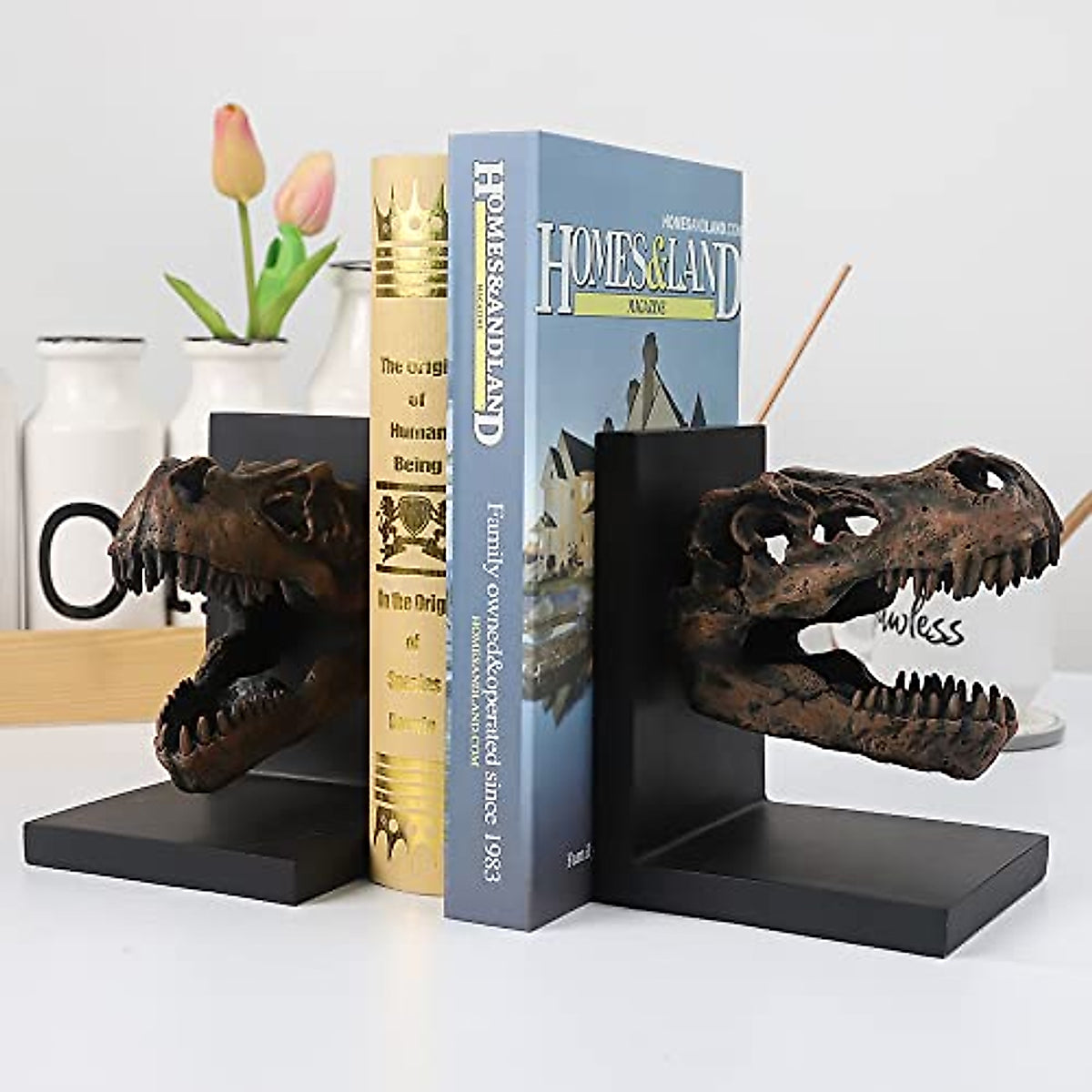 Tyrannosaurus Rex Skull Bookends