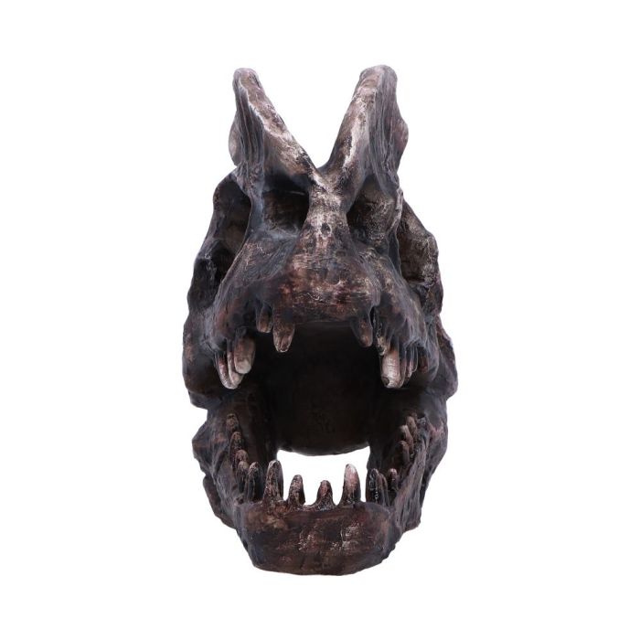 Dilophosaurus Skull 16cm Ornament
