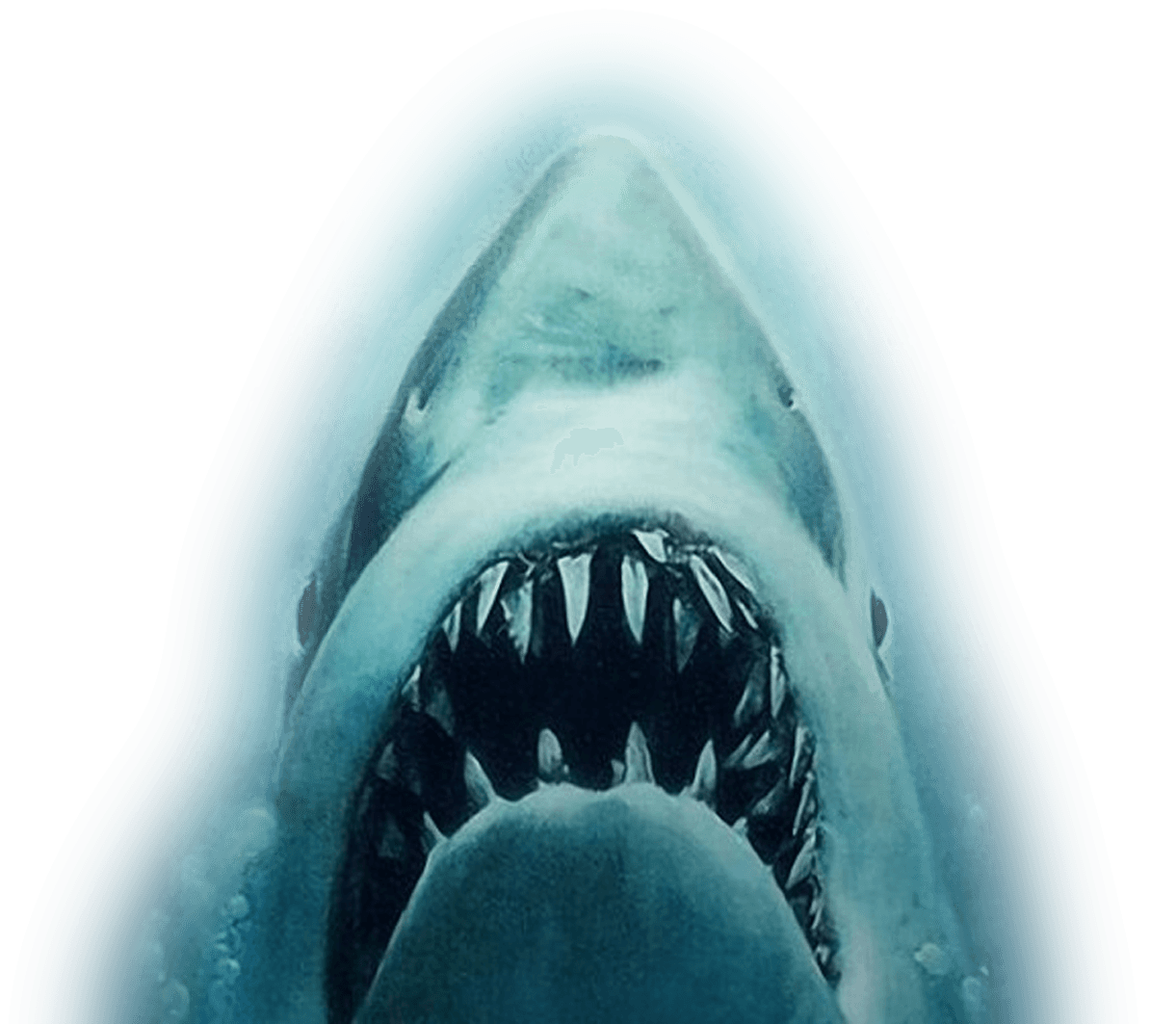 Jaws