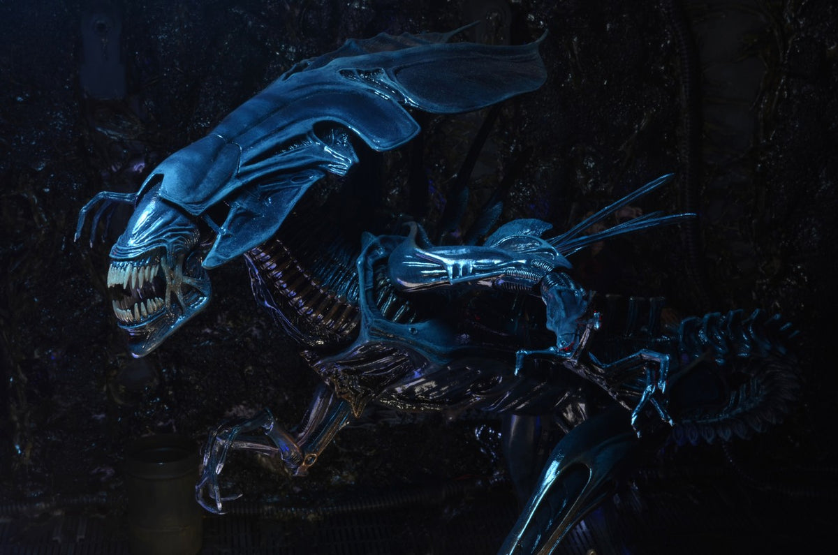 Alien Xenomorph Queen Ultra Deluxe Box Set