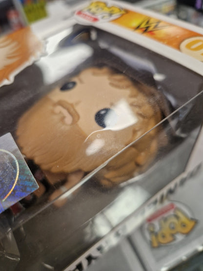 POP! WWE: Daniel Bryan 07 Black Shorts