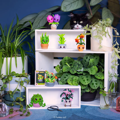 POP Mystery: Plants