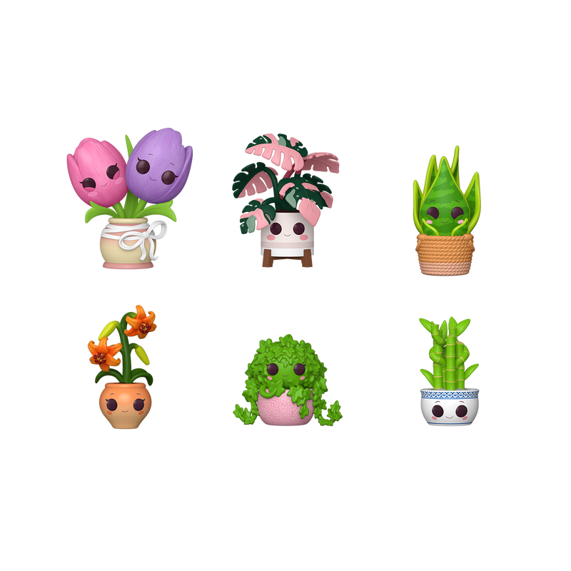 POP Mystery: Plants