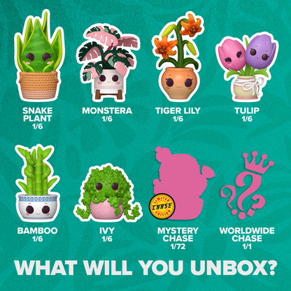 POP Mystery: Plants