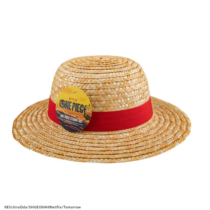 One Piece Hat Luffy Straw Hat