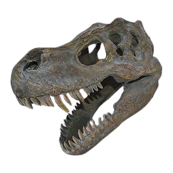 Tyrannosaurus Rex Skull Small 39.5cm