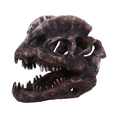 Dilophosaurus Skull 16cm Ornament