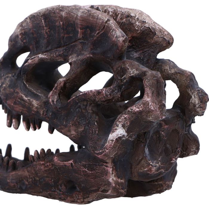 Dilophosaurus Skull 16cm Ornament
