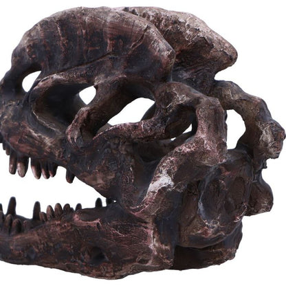 Dilophosaurus Skull 16cm Ornament