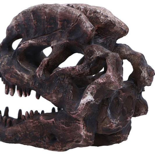 Dilophosaurus Skull 16cm Ornament