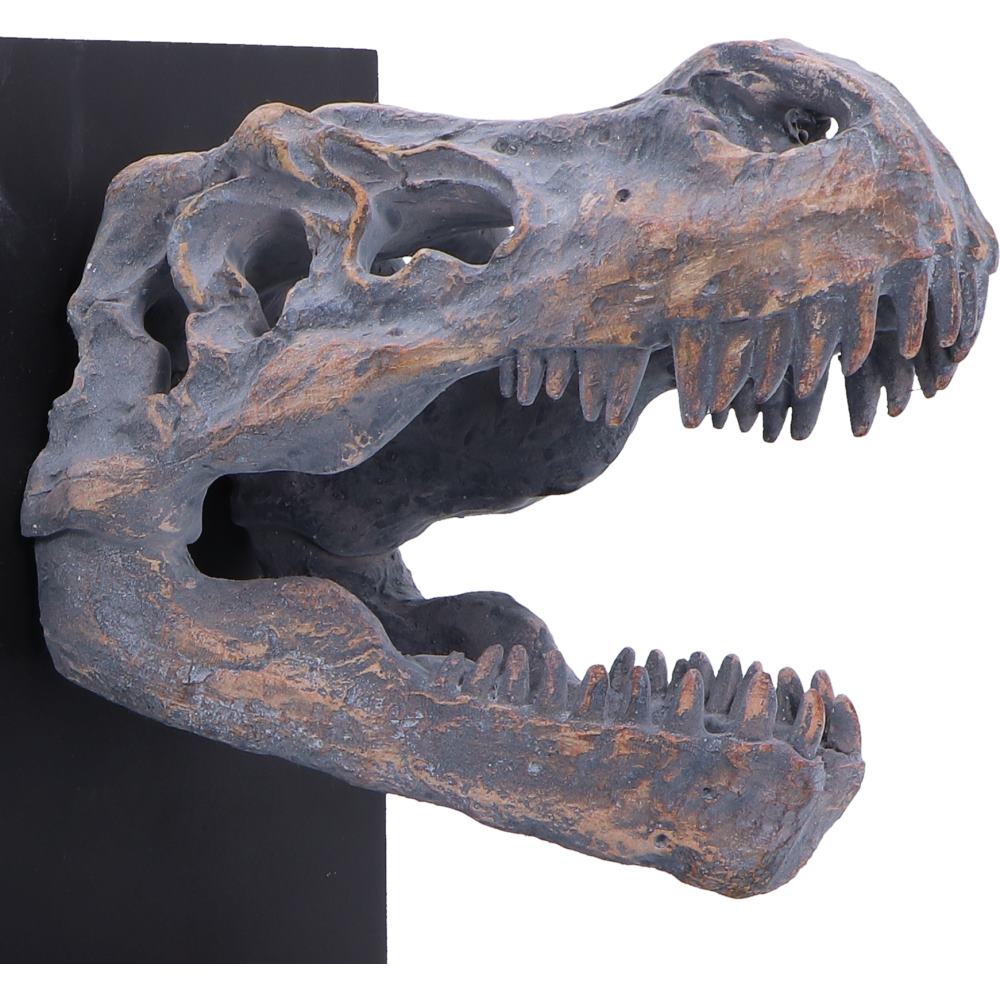 Tyrannosaurus Rex Skull Bookends
