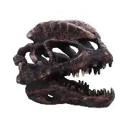 Dilophosaurus Skull 16cm Ornament