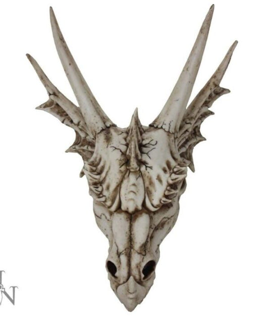 The Last Dragon Skull 32cm