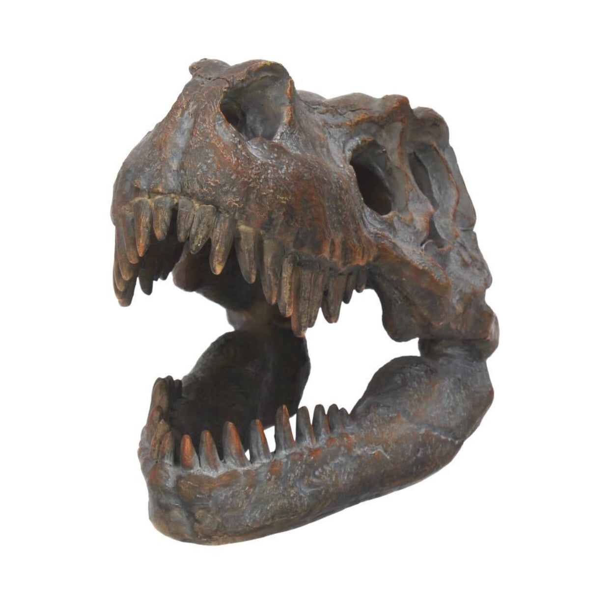 Tyrannosaurus Rex Skull Freestanding 16cm