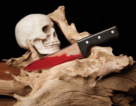 Bleeding Kitchen Knife