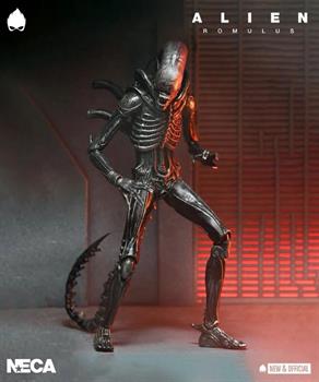 Alien Romulus Xenomorph XX121 7" Scale Figure