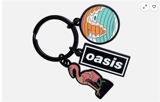 Oasis Keychain : Charms Keychain